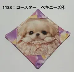 1146：コースター　ペキニーズ④