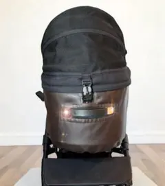 Item thumbnail for item 550a43e0-0d6e-4c42-821d-8bf0b25c541c