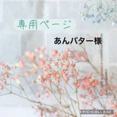 あんバター様　専用
