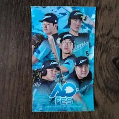 埼玉西武ライオンズ アオフェス2026ステッカー