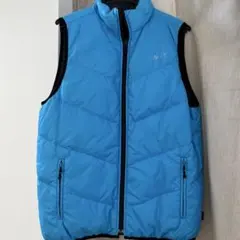 Stussy リバーシブル　ダウンベスト 青×黒