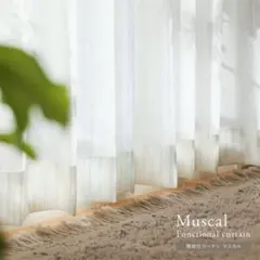 リセノ 【レース】機能性カーテン　Muscal Re:CENO
