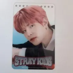 Stray Kids Seungmin タレントカード 9枚セット