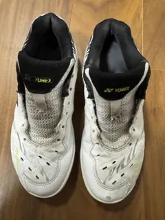 Item thumbnail for item 6f55a71c-dec1-4c26-8991-31f86e01d699