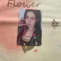 ベビモン BABYMONSTER サノク SHEESH アサ トレカ