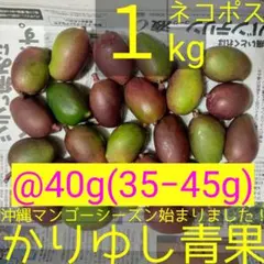 摘果青マンゴー1.1キロ（40g〜80g）コンパクトBOX - メルカリ