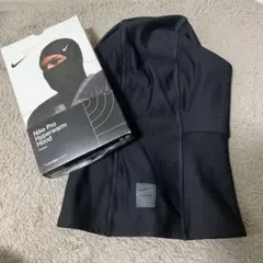 Item thumbnail for item 8aa50510-9554-45a4-9c8e-70919daac66e