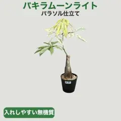 No.1045 カンペ パールリキッド ＃287 300ml - メルカリ