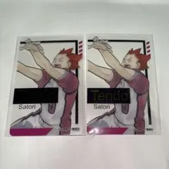 ハイキュー ファンパーク 箔押しクリアカード 天童