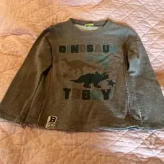 ティンカーベル⭐︎恐竜プリント トレーナー　110センチ