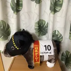 サラブレッドコレクション ぬいぐるみ シャフリヤール