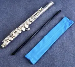 Item thumbnail for item e78c57b0-dad7-4eea-95a3-1cb6c2b96042