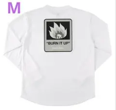 Item thumbnail for item 4fffcfaf-b241-4155-9e92-7fa2f4aaaf4d