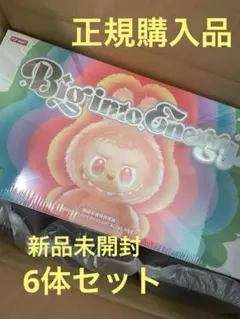【値下げ】未開封12月購入正規品 ラブブアソートボックスBiginoEnergy