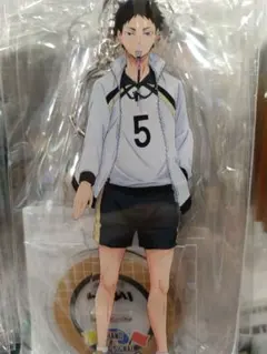 ハイキュー　赤葦京治　アクリルキーホルダー　購買部　描き下ろし　限定品　グッズ