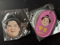 大相撲ガチャ　宇良セット