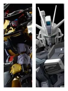 RG 1/144 フォースインパルスディアクティブモード 天（アマツ）2体