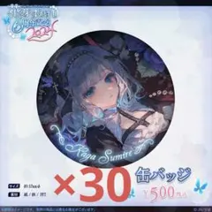 花芽すみれ pacific racing 缶バッジ 冬 32個セット - メルカリ