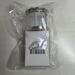 美 少年 ARENA TOUR 2024 Gates + ペンライト