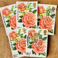 camille＊カミーユ様 リクエスト 3点 まとめ商品