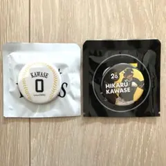 Item thumbnail for item 94fab446-cf3d-4084-99f7-795041ec23e5