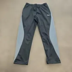 PUMA ジャージ パンツ Lサイズ