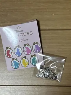 ディズニーストア プリンセス シークレットチャーム シンデレラ
