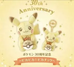 ピカチュウ ぬいぐるみ 初期