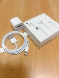 Apple EarPods Lightning /USBケーブル/アダプタ