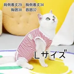 수술후복 고양이 수술후복 엘리자베스 옷 L 사이즈 보더 레드 34-2