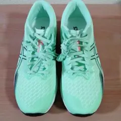 Item thumbnail for item fdc11487-c27e-4dc1-b96f-33a4f392c756