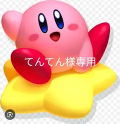 てんてん様専用