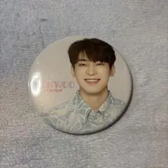 SEVENTEEN SUMMER POP-UP 2019 缶バッジ ウォヌ