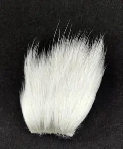 Item thumbnail for item f45d4a40-a53a-4aa3-9255-2e807281b3bd