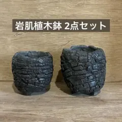 2点】文五郎 窯 ミニ 盆栽 鉢 信楽焼 - メルカリ