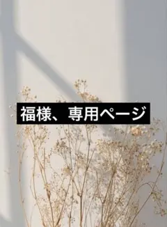 3点セット　春服レディースまとめ売り　コーデ売り 春コーデ　オフィスカジュアル