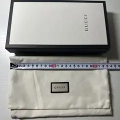 GUCCI ギフトボックス 二段式 約20cm x 10cm