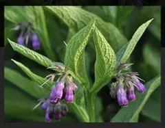 まる様 リクエスト 5点 まとめ商品