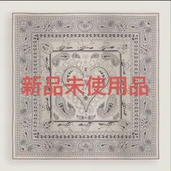 2026年最新】カシクールの人気アイテム - メルカリ