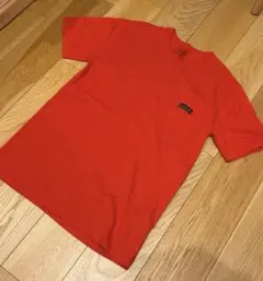 ストライプ Tシャツ