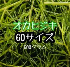 当日朝採り☆オカヒジキ60サイズ直送のサムネイル