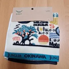 Item thumbnail for item bdd5cccd-d848-4f0e-8a74-54b20203da41