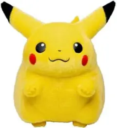 ポケットモンスター ポケモン30周年記念 おかえり！ピカチュウ1/1