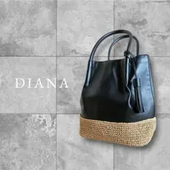DIANA カゴバッグ未使用品 2026年最新】DIANA レディース かごバッグの人気アイテム - メルカリ