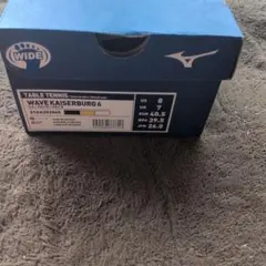 Mizuno Wave Kaiserburg 6 卓球シューズ 26.0cmのサムネイル