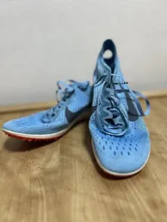 Item thumbnail for item 89a0d2a9-411e-45d2-b35f-2f3edcbb5a12