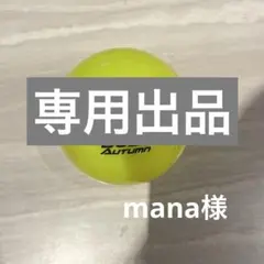 manaさん専用出品