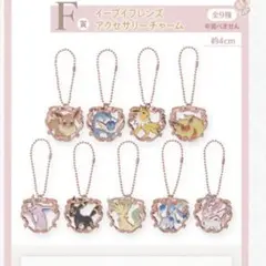 イーブイフレンズ　チャーム Fantasy Closet ポケモン　コンプ