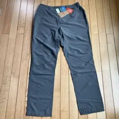 Item thumbnail for item 2038d21f-dc02-4b58-8929-009f3af41488