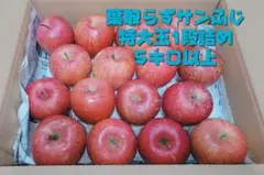 りんご　青森県産　特大玉　葉取らずサンふじ 1段詰め　お買い得　家庭用